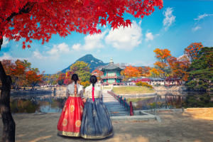 Soul Of Korea - 9 Days 8 Nights Tour Packages